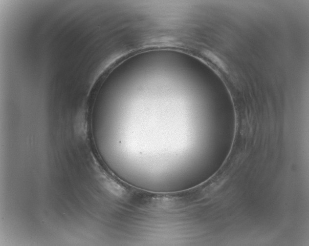 X0000070431458200606161451