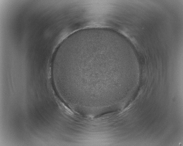 X0000070431459200606161451