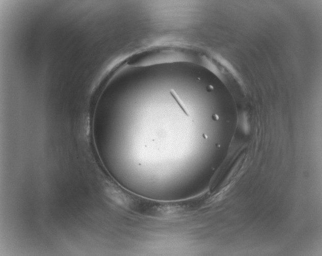 X0000070431461200606161451