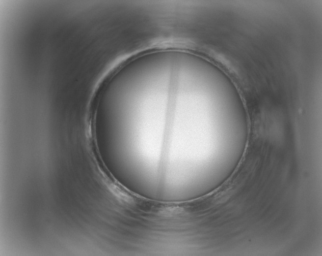 X0000070431462200606161451