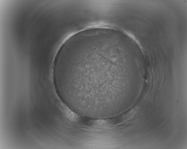 X0000070431463200606161451