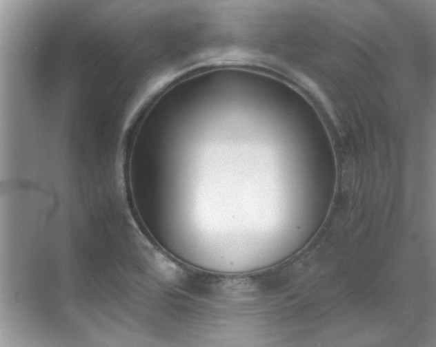 X0000070431464200606161451