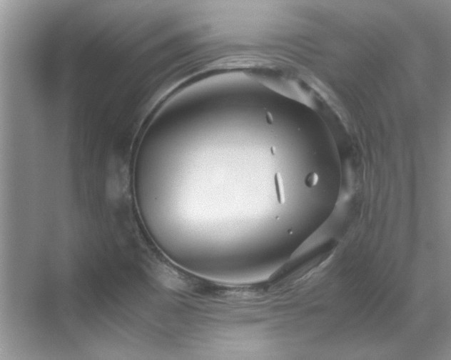 X0000070431465200606161451