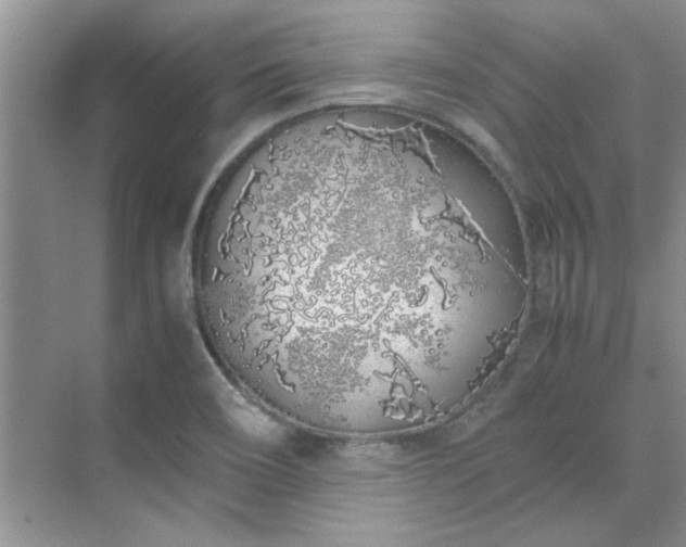 X0000070431466200606161451