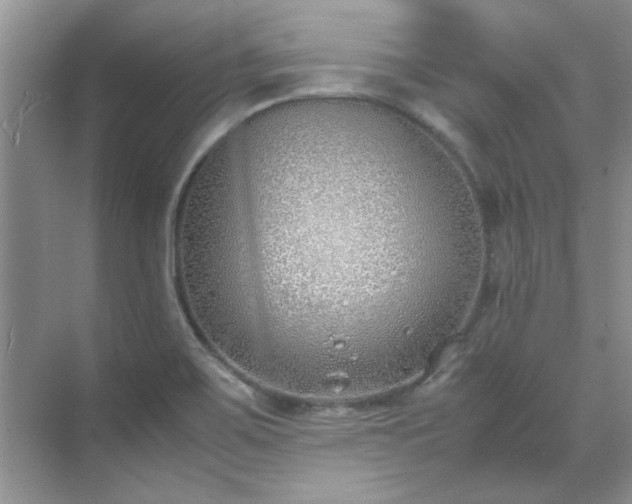 X0000070431467200606161451