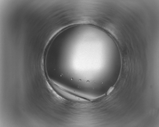 X0000070431468200606161451