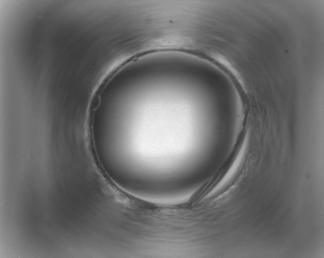 X0000070431469200606161451