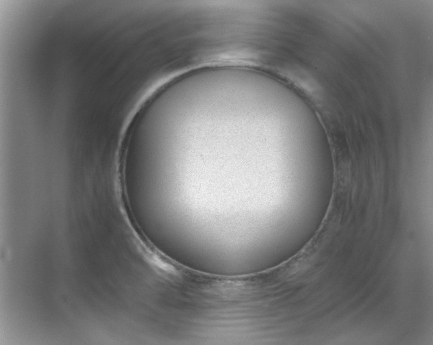 X0000070431470200606161451