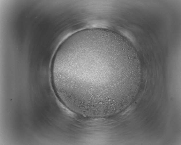 X0000070431471200606161451