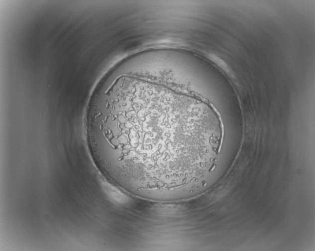 X0000070431474200606161451