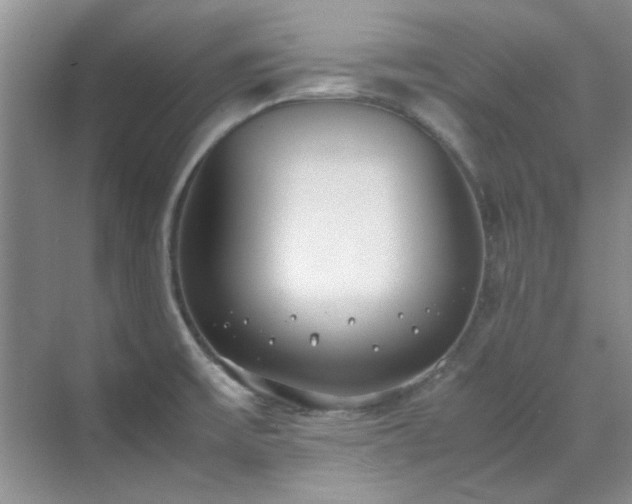 X0000070431475200606161451