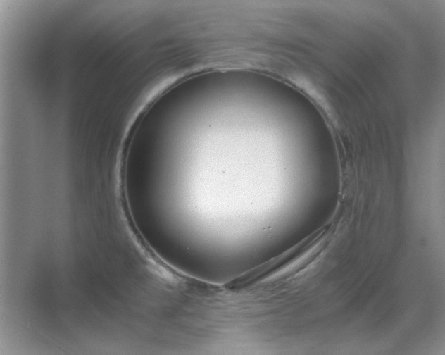 X0000070431477200606161451