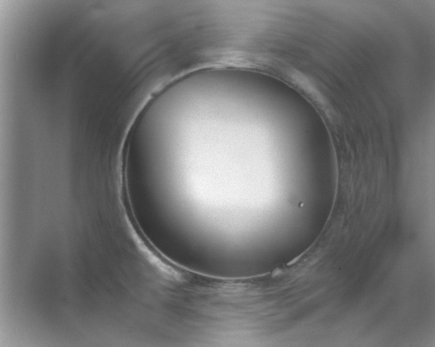 X0000070431479200606161451