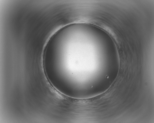 X0000070431480200606161451