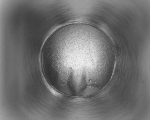 X0000070431482200606161451