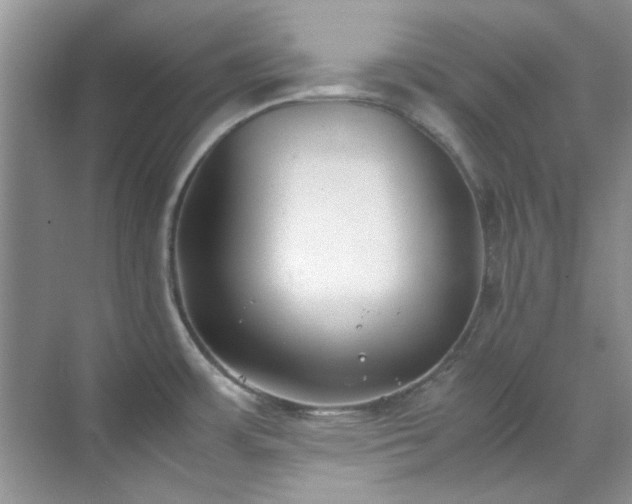 X0000070431483200606161451