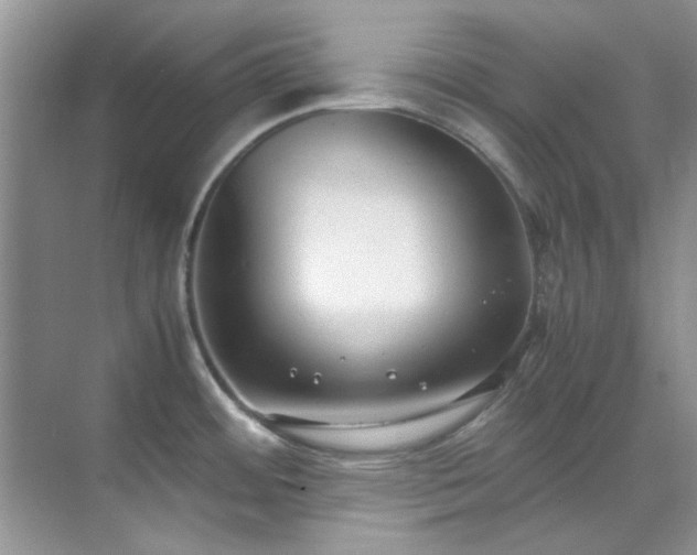 X0000070431484200606161451