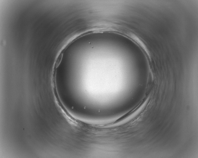 X0000070431485200606161451