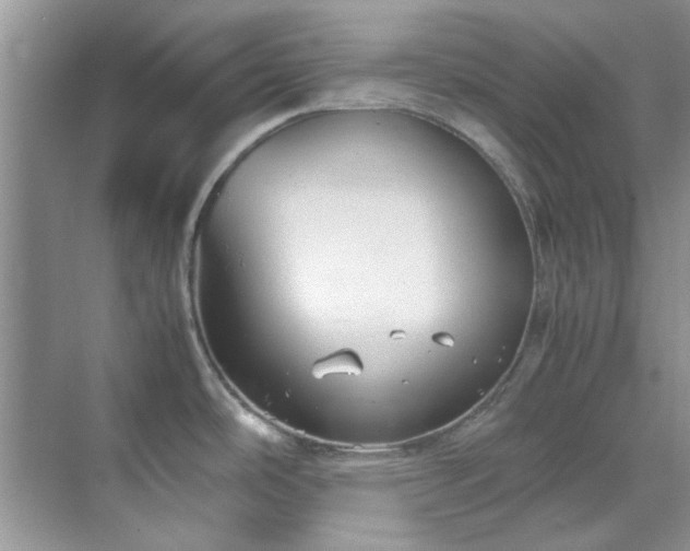 X0000070431486200606161451