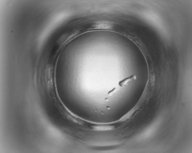 X0000070431487200606161451