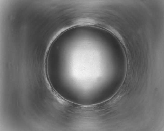 X0000070431488200606161451