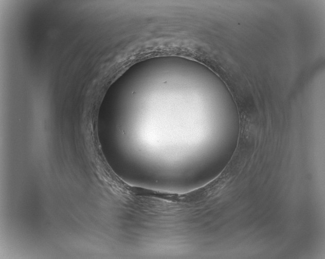 X0000070431489200606161450