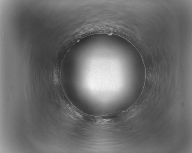 X0000070431490200606161450