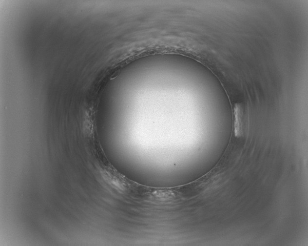 X0000070431491200606161450