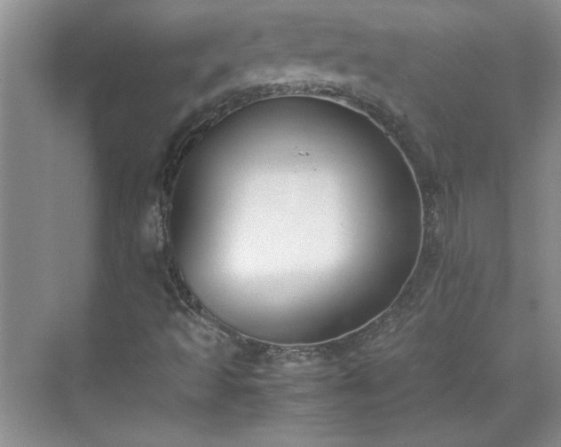 X0000070431493200606161450