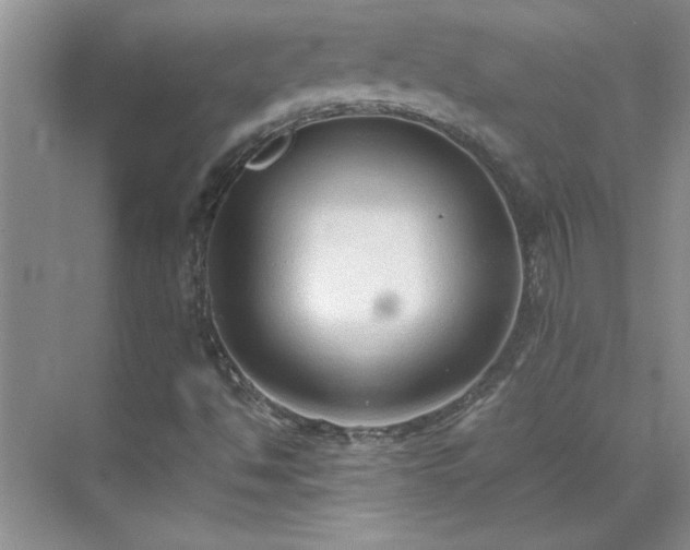 X0000070431494200606161450