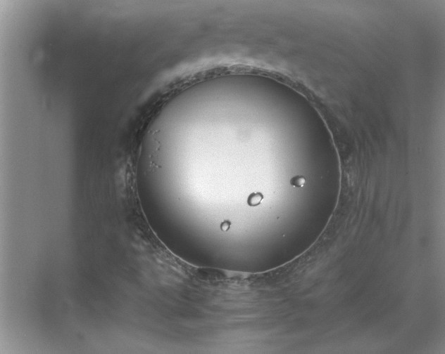 X0000070431495200606161450