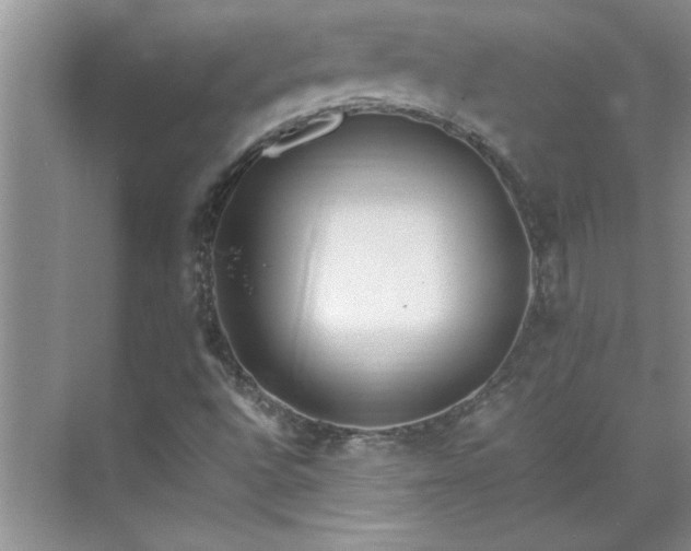 X0000070431496200606161450