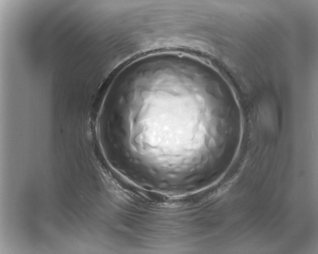 X0000070431497200606161450