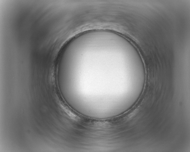 X0000070431498200606161450