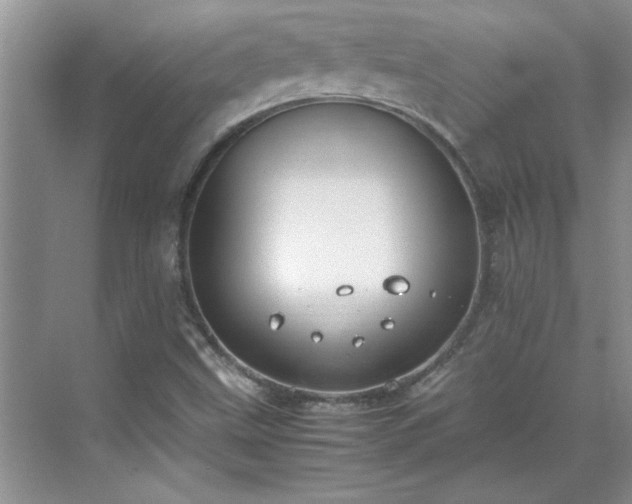 X0000070431499200606161450