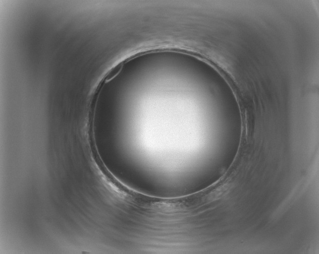 X0000070431500200606161450