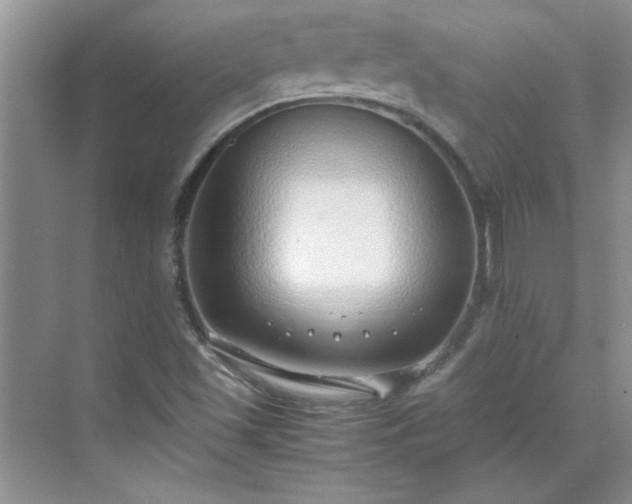 X0000070431501200606161450