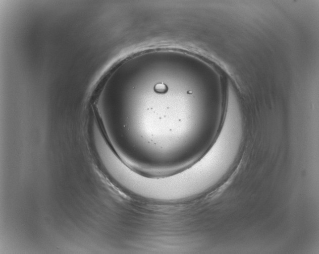 X0000070431502200606161450