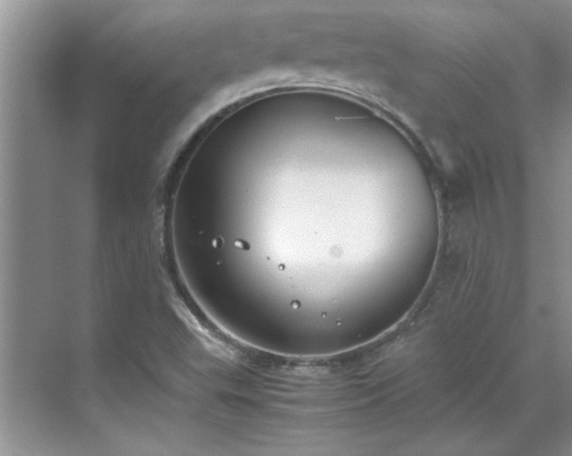 X0000070431503200606161450