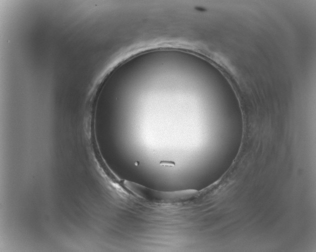 X0000070431504200606161450