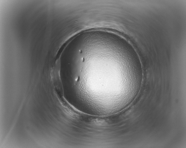 X0000070431505200606161450