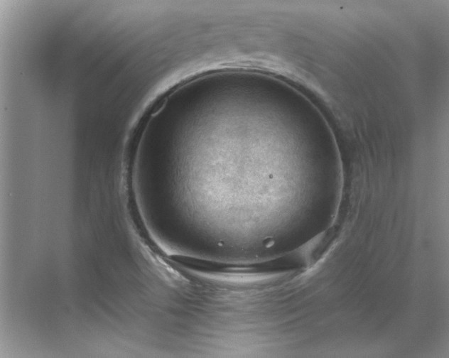 X0000070431506200606161450