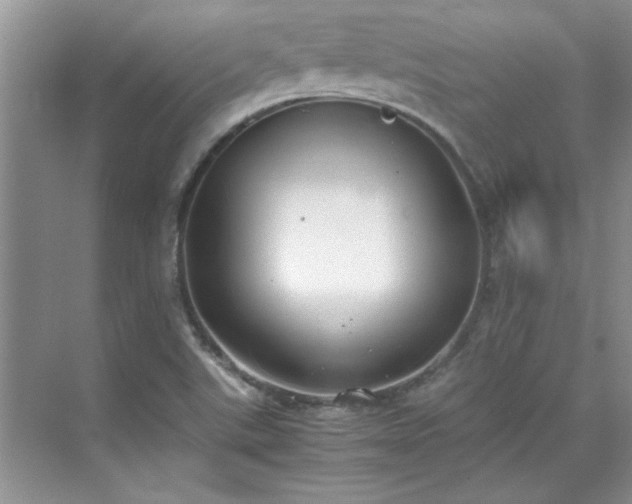 X0000070431507200606161450