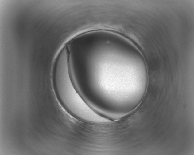 X0000070431508200606161450