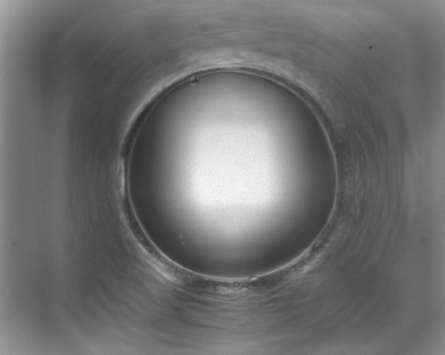 X0000070431509200606161450