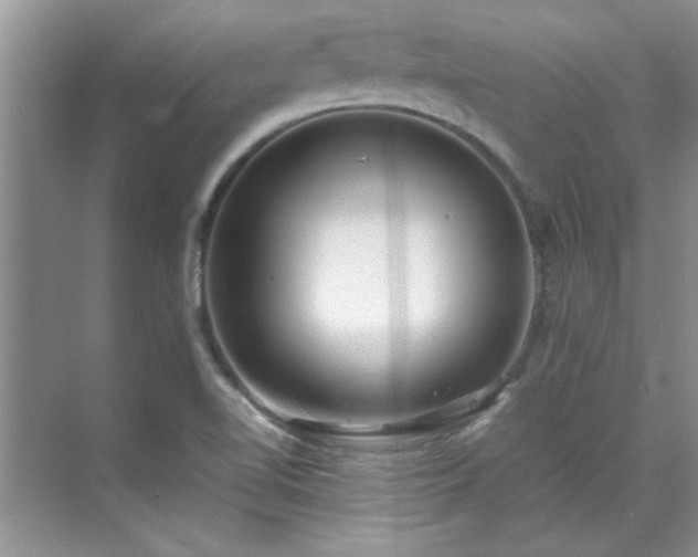 X0000070431510200606161450