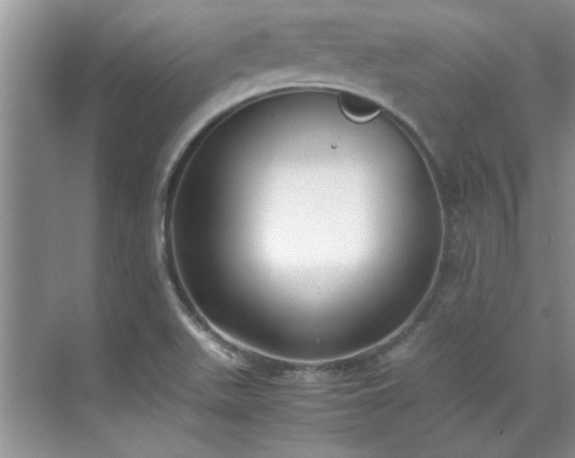 X0000070431511200606161450