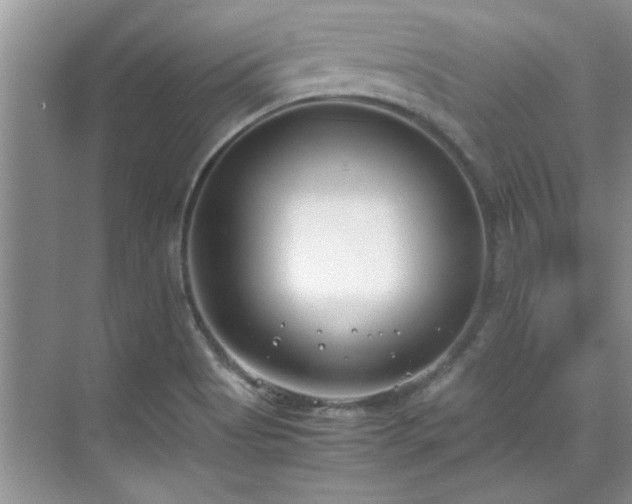 X0000070431513200606161450