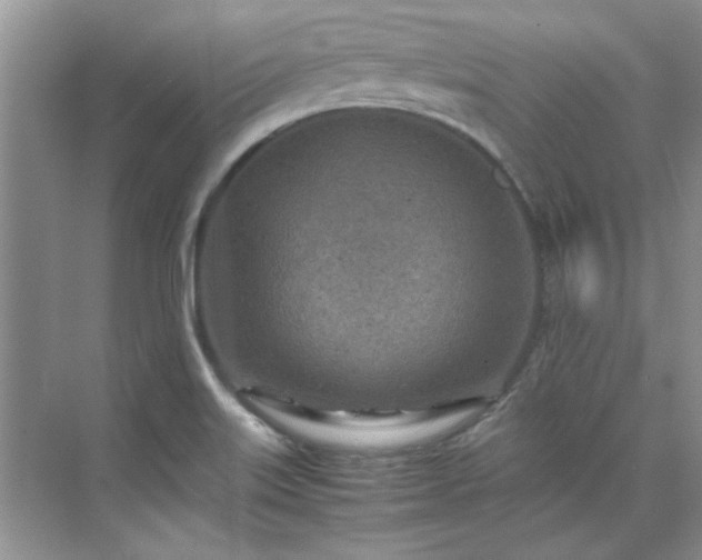 X0000070431515200606161450