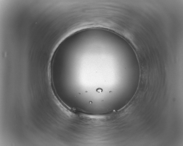 X0000070431516200606161450